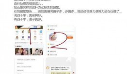 最新好友爆料视频大全,最新视频大全精彩瞬间大盘点